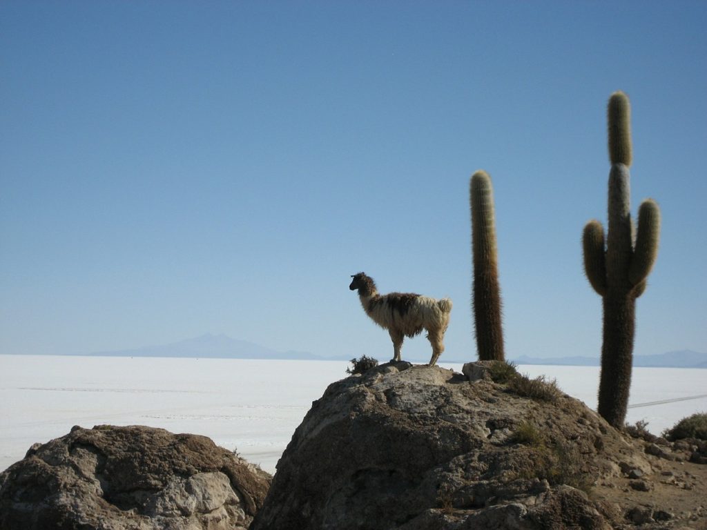 salar de uyuni